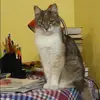 Отзыв от Вера Петровская